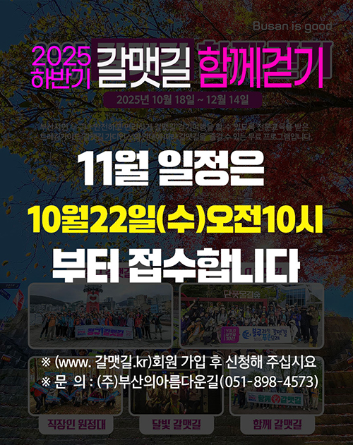 11월 접수 일정